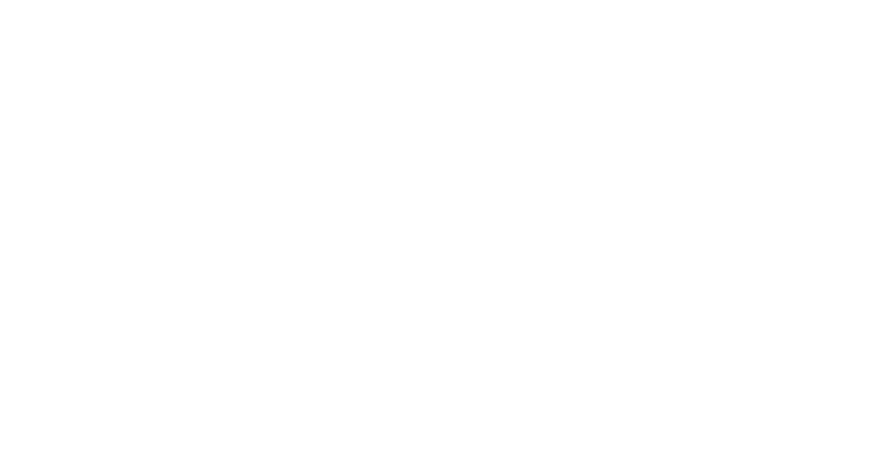 NOI